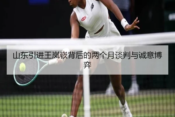 山东引进王岚嵚背后的两个月谈判与诚意博弈
